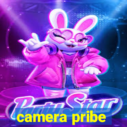 camera pribe